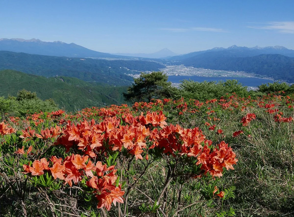 Takabotchi Highlands