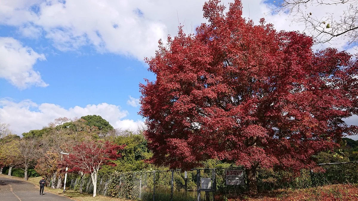 Higashi Hirao Park