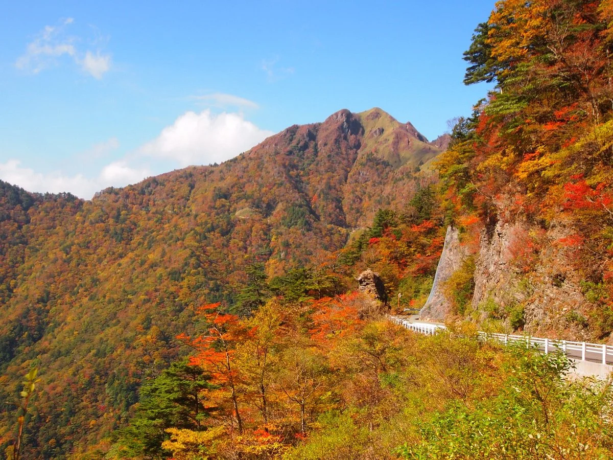 Kamegamori Road