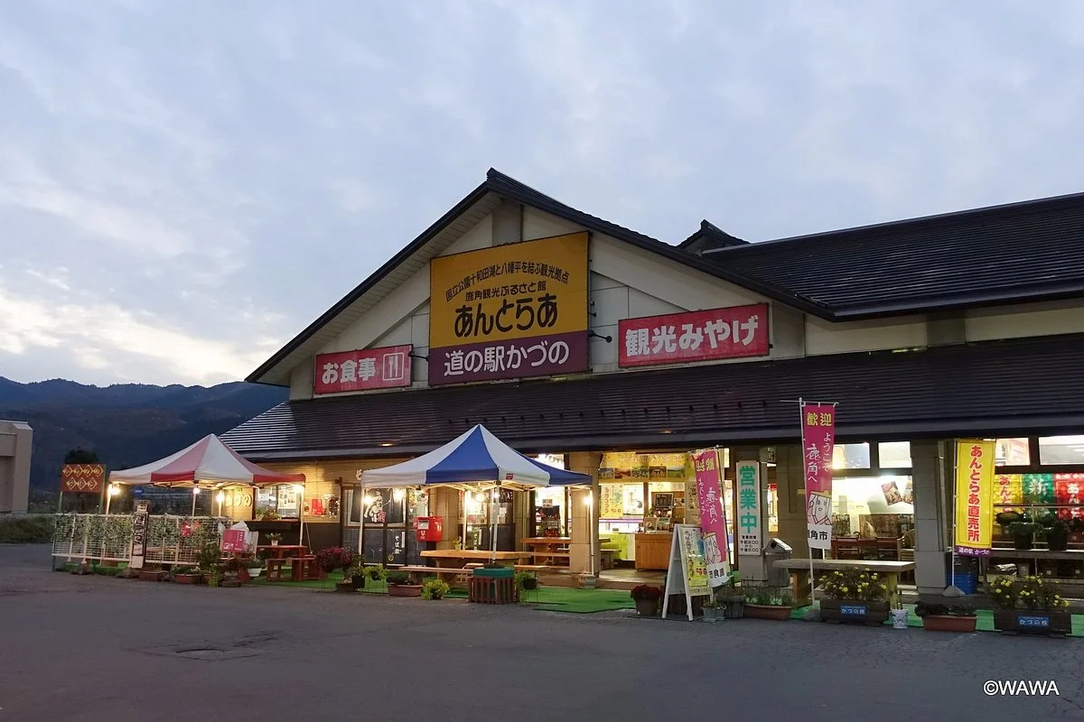 Antoraa Farm Stand