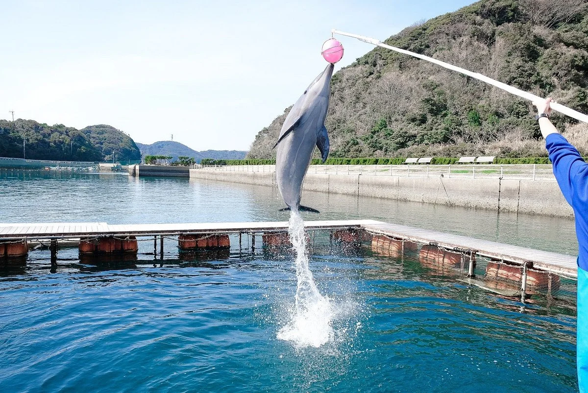 Iki Iruka Park & Resort