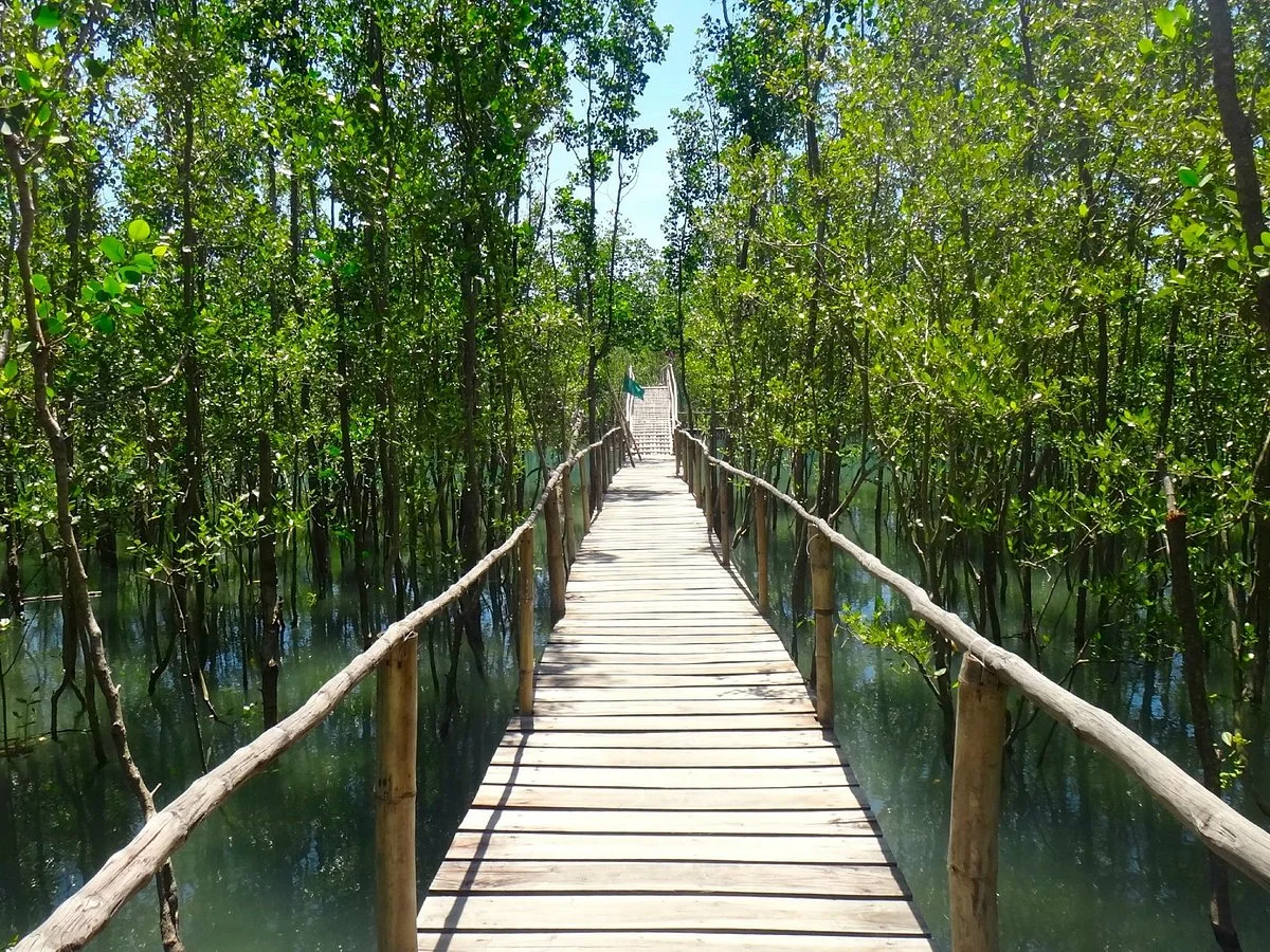 Bakhawan Eco-park and Research Centre