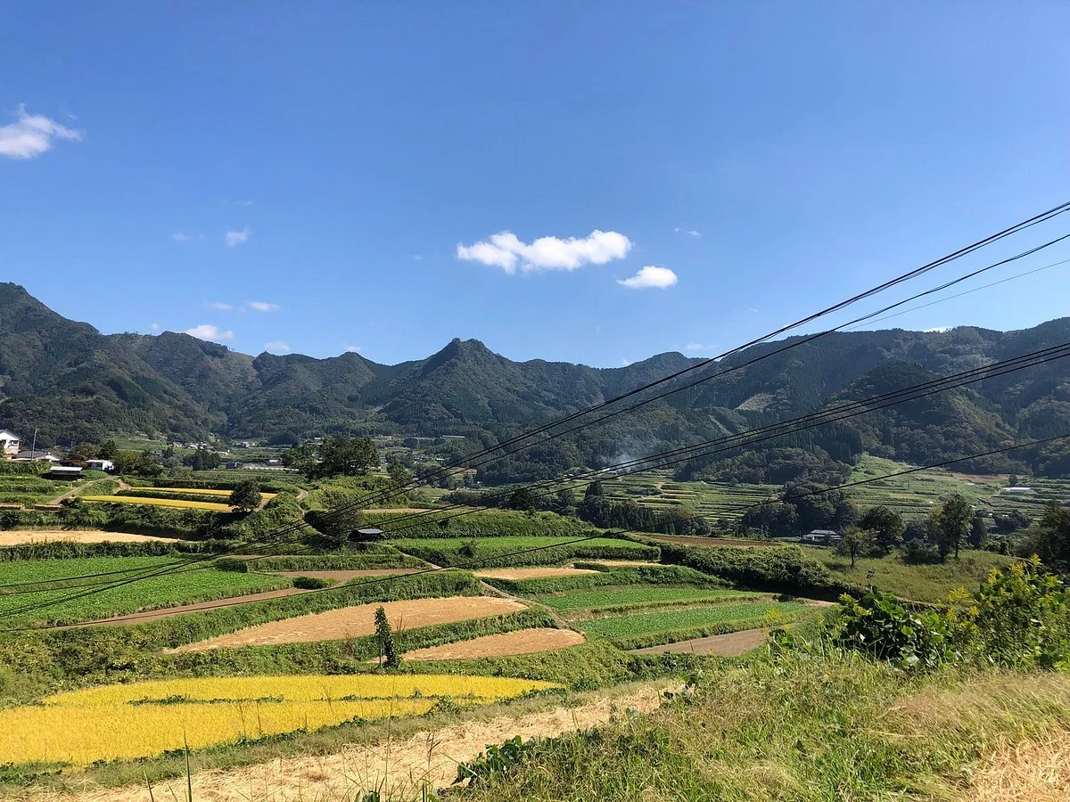 Tochimata Tanada Rice Terrace