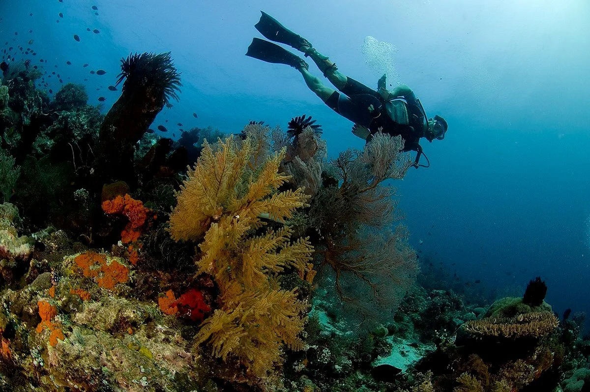 Tinoto Reef