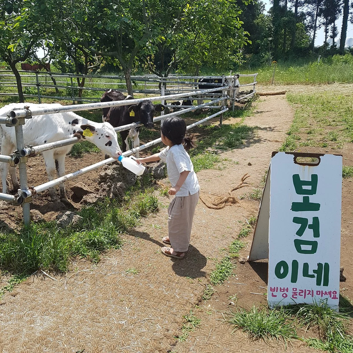 Morning Smile Mokjang
