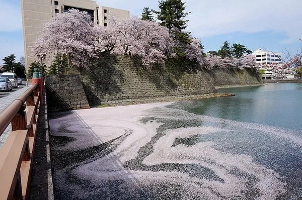Kitanosho Castle Park