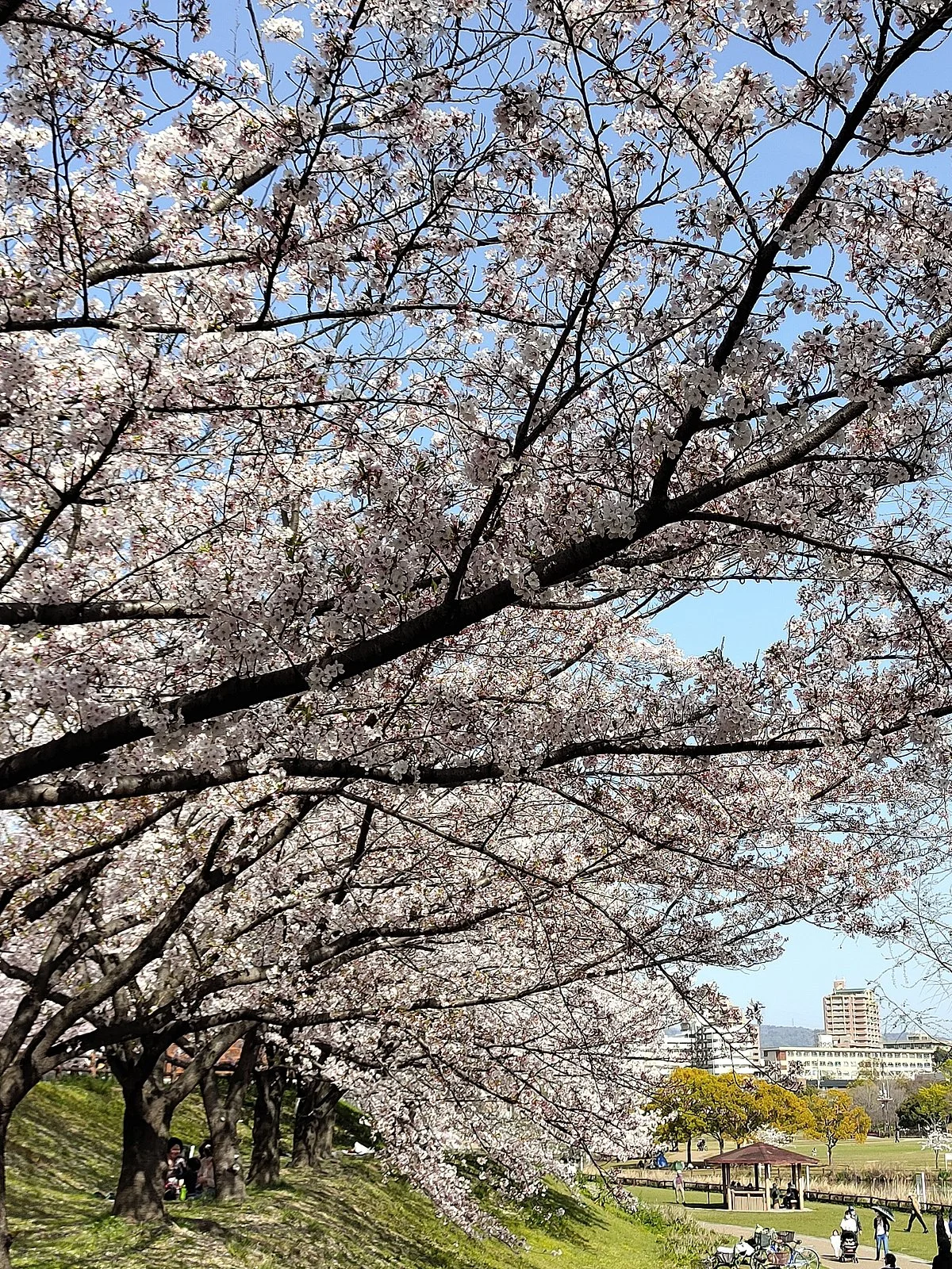 Uchiagegawa Chisui Ryokuchi Park
