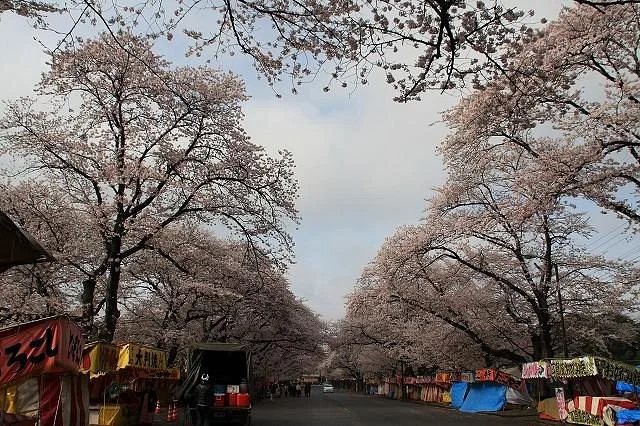 Kobayashi Farm