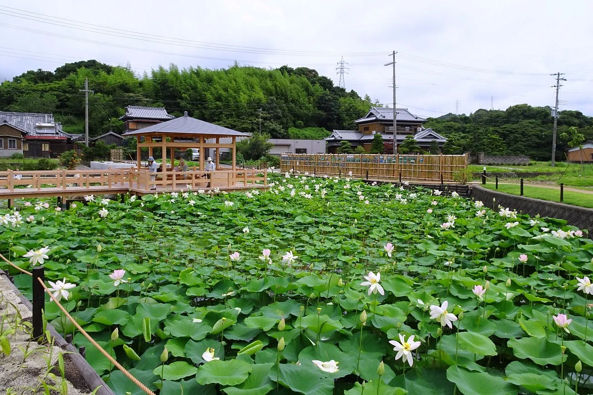 Maihiren no Sato