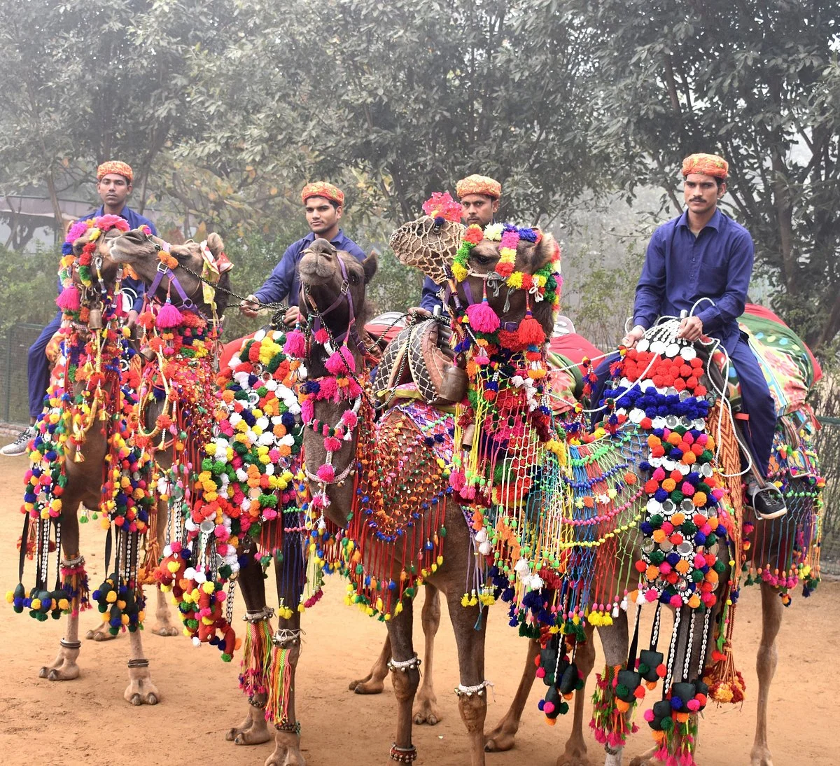 Pratapgarh Farms