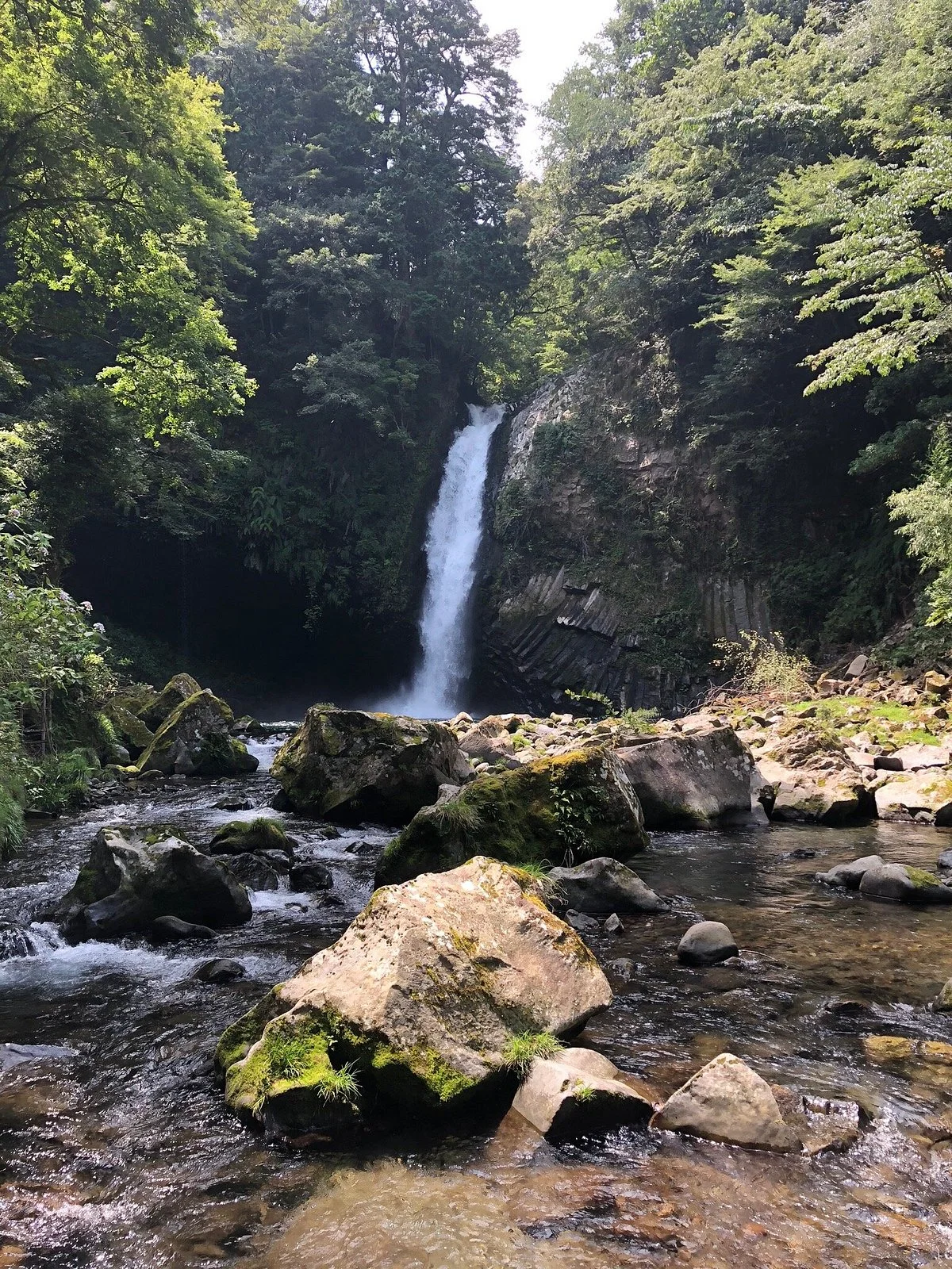 Amagi International Trout Fishing Site