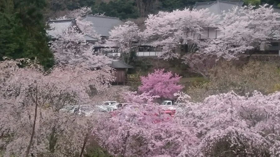 Ryutaku-ji Temple