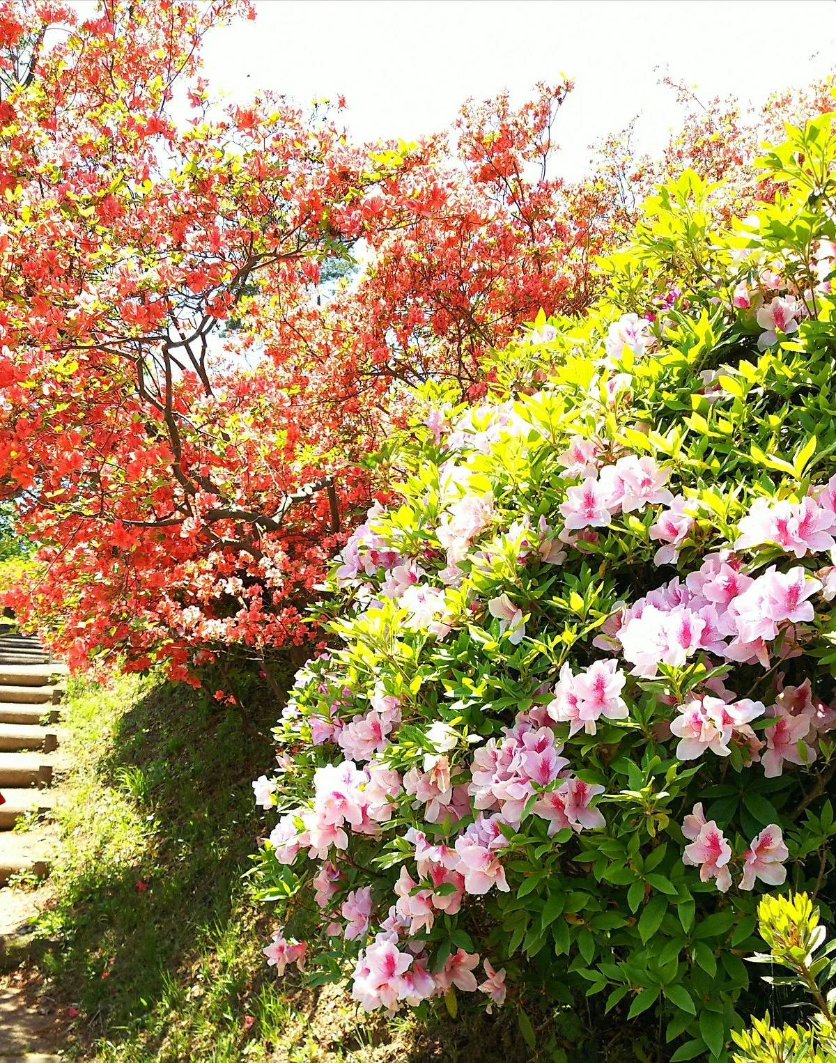 Monomiyama Park