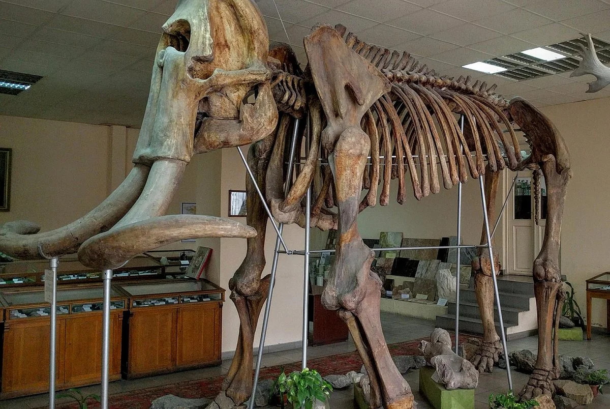 Geological Museum of Armenia