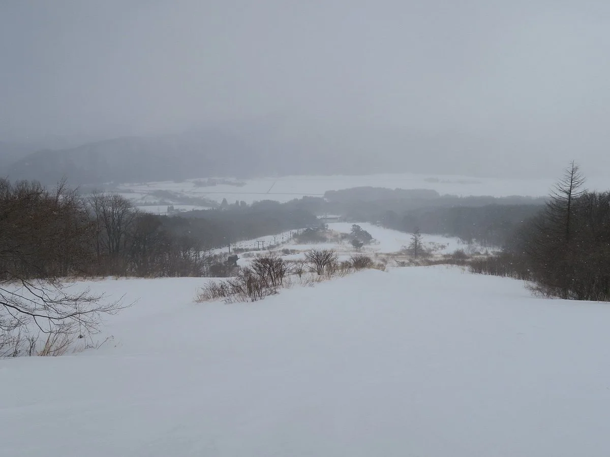Family Snow Park Bandai x2