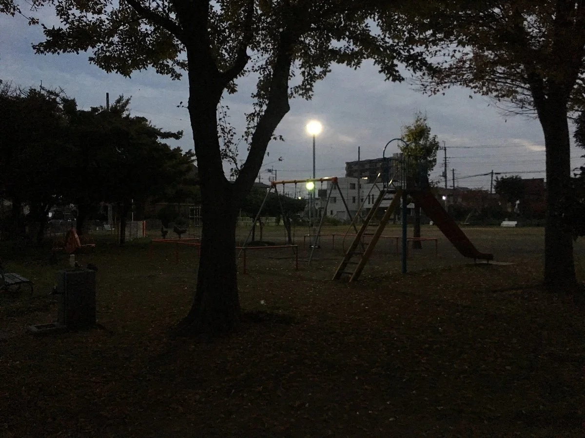 Shimizucho Park