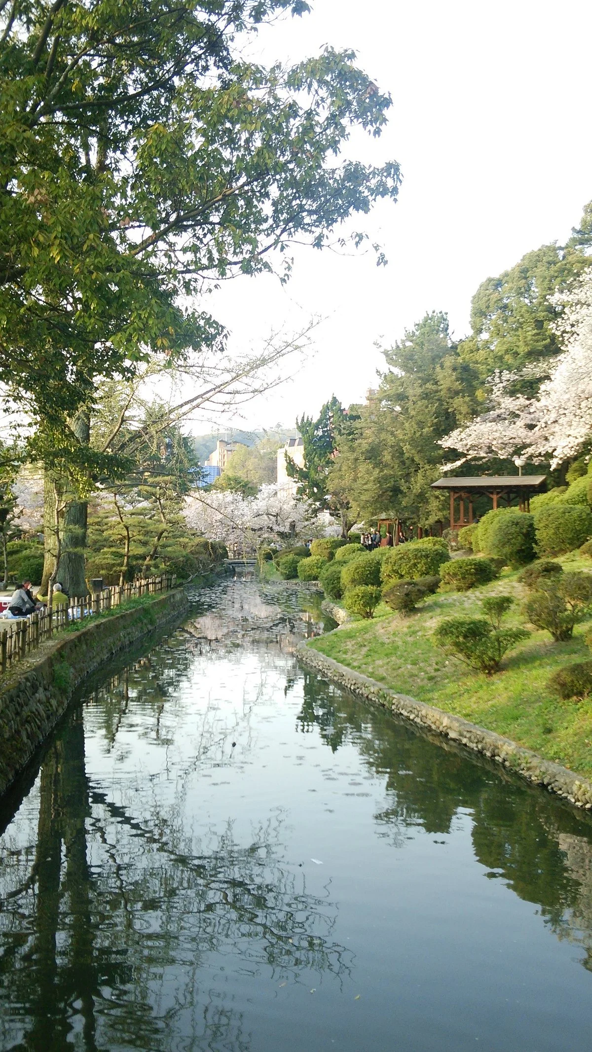 Dogo Park (Ruins of Yuzuki Castle)