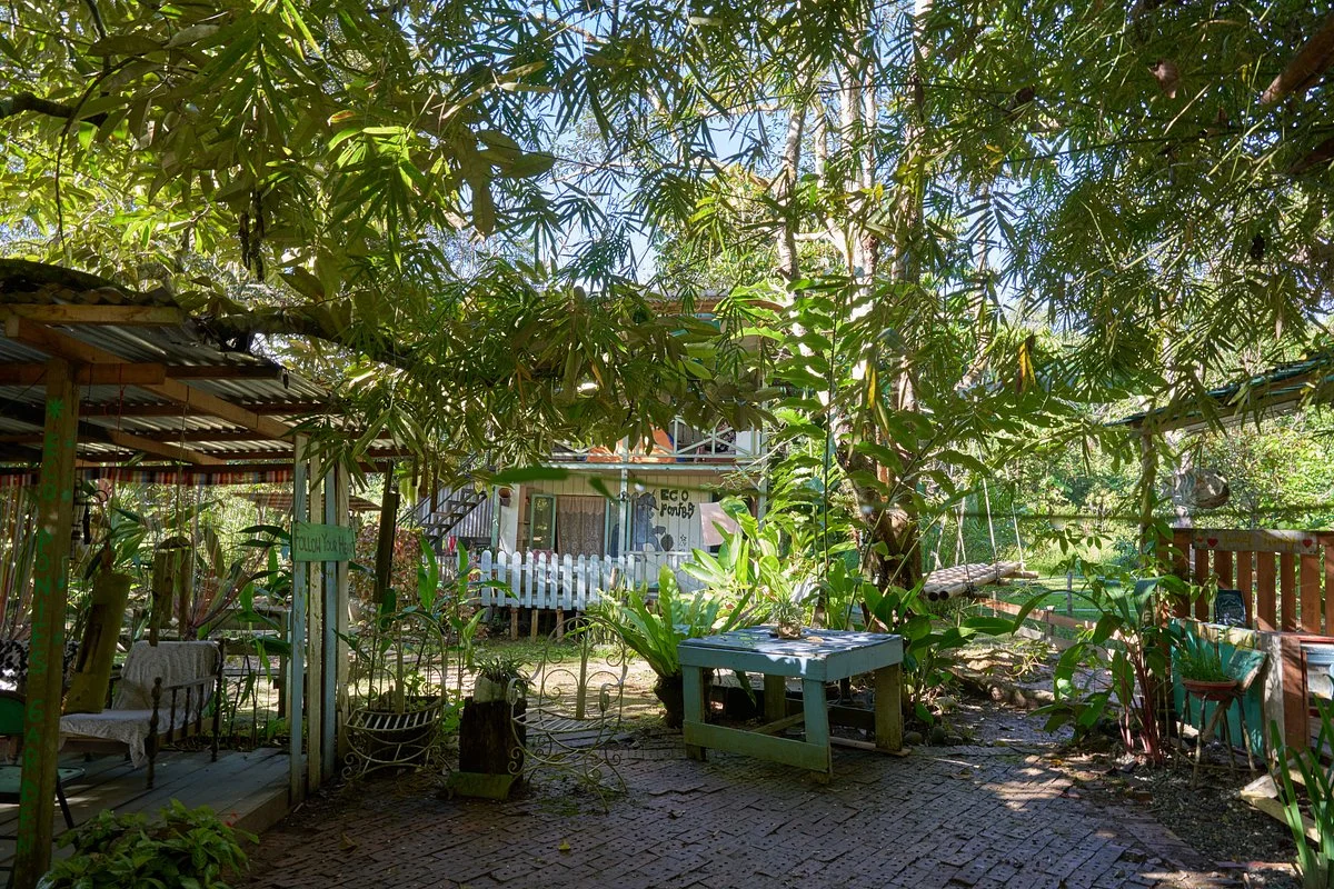 Eco Ponies Garden