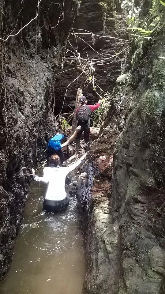 Wehea Rainforest