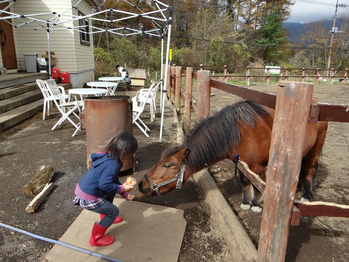 Clover Ranch