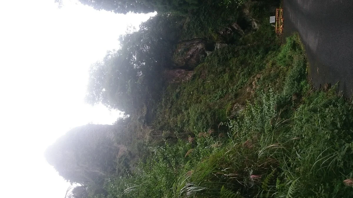 Kiinoko Castle Ruins
