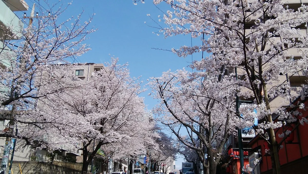Harumachizaka