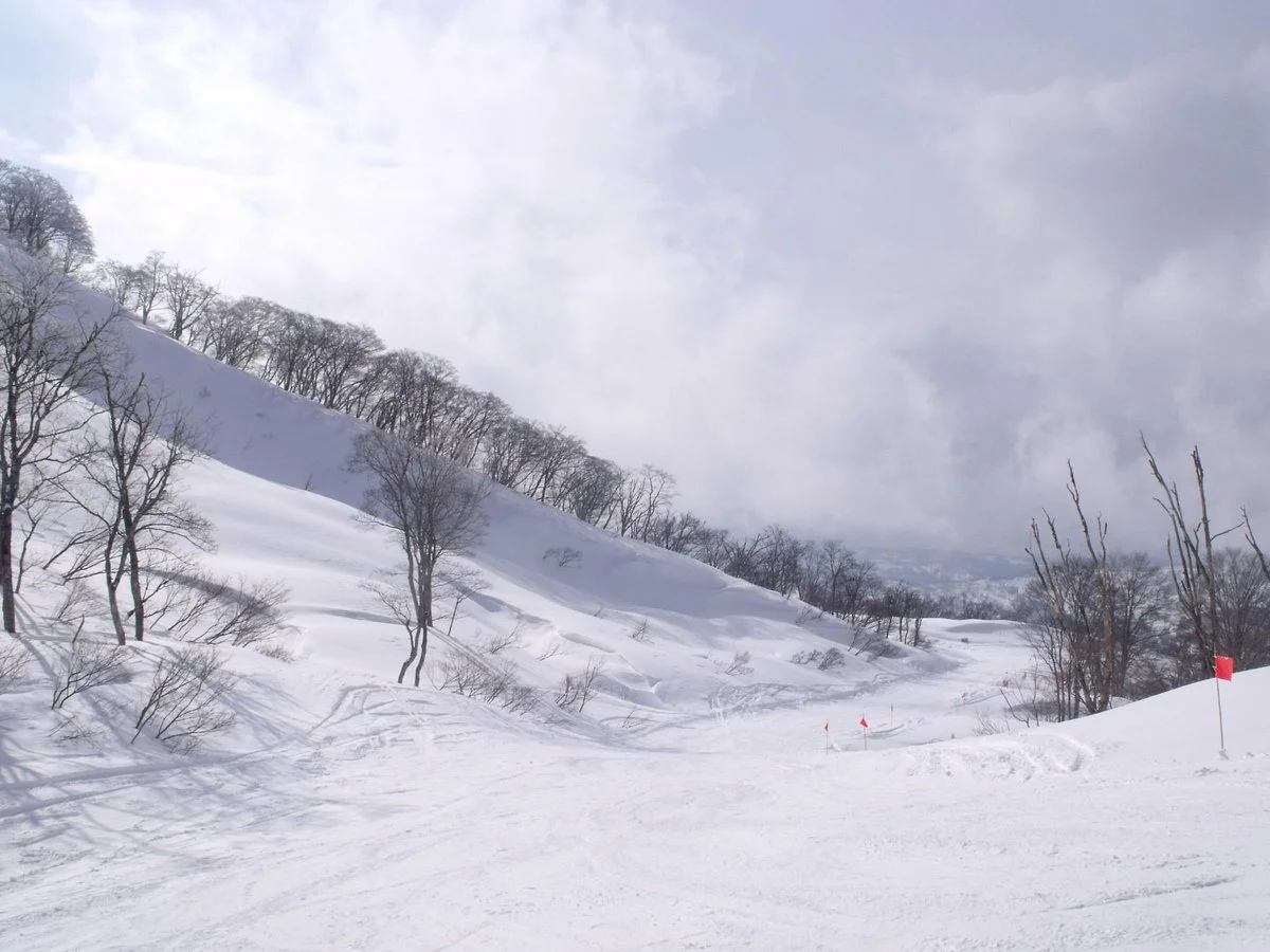 Cupid Valley Ski Resort