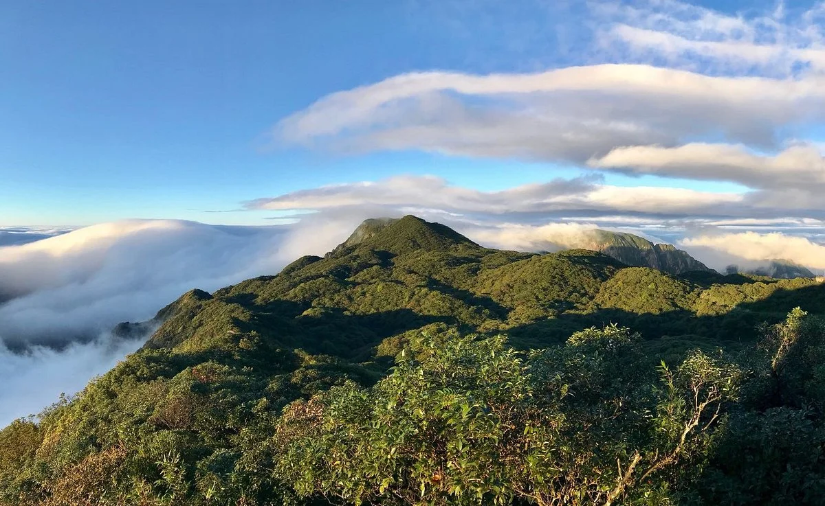 Guangxi Maoer Mountain Reserve