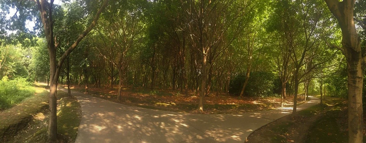Kunshan Forest Park