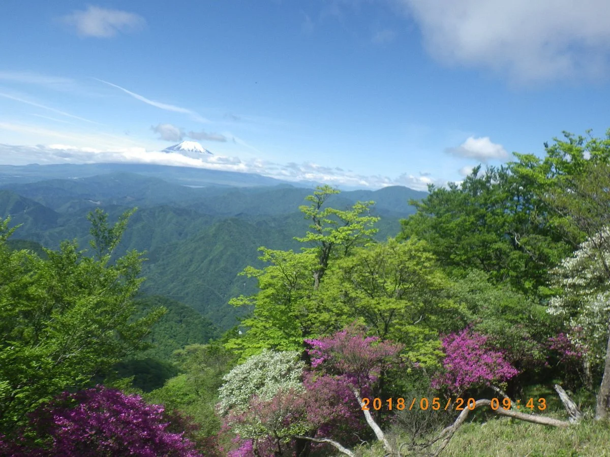 Mt. Aogatake (Hinokiboramaru)