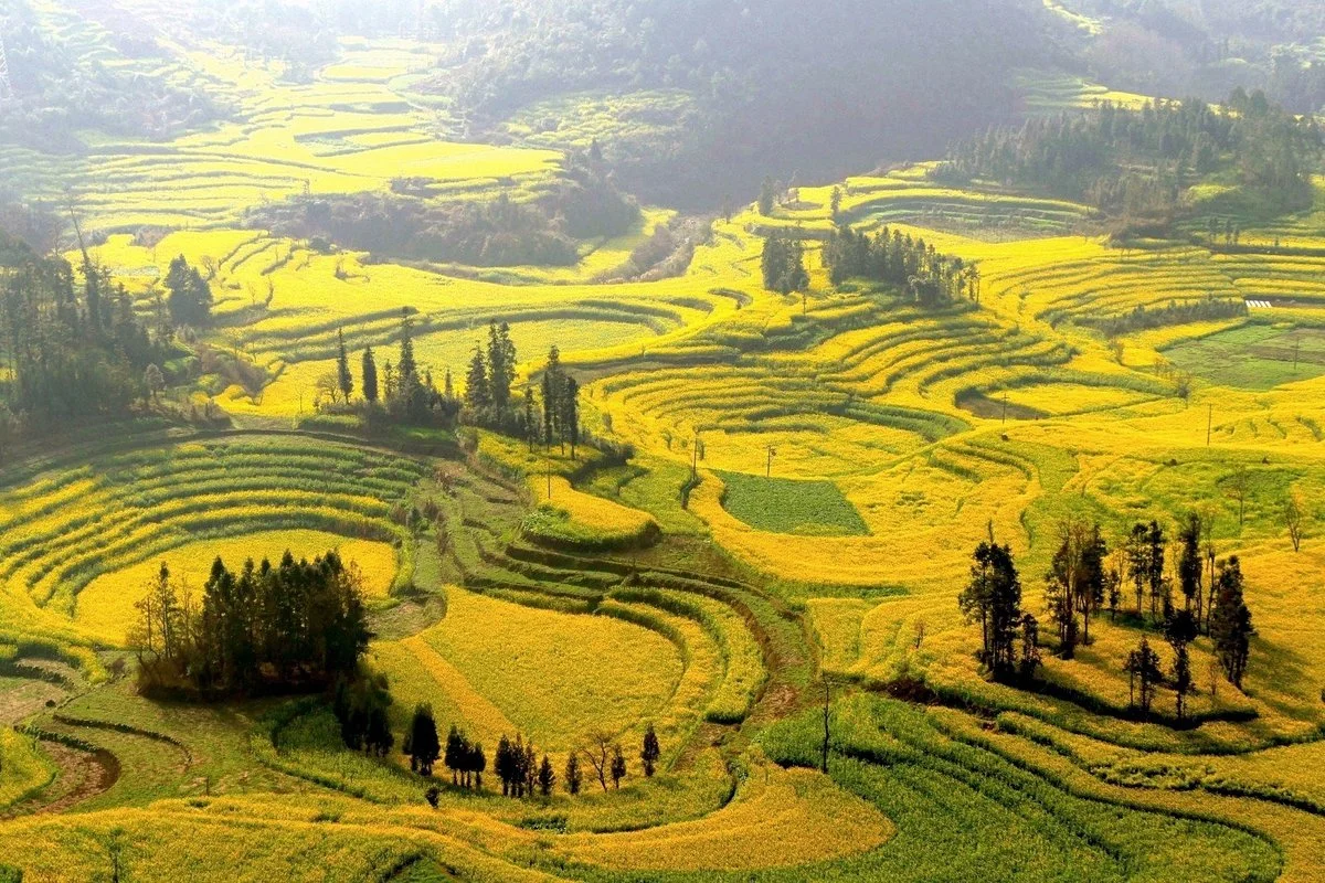 Luosi Field, Luoping