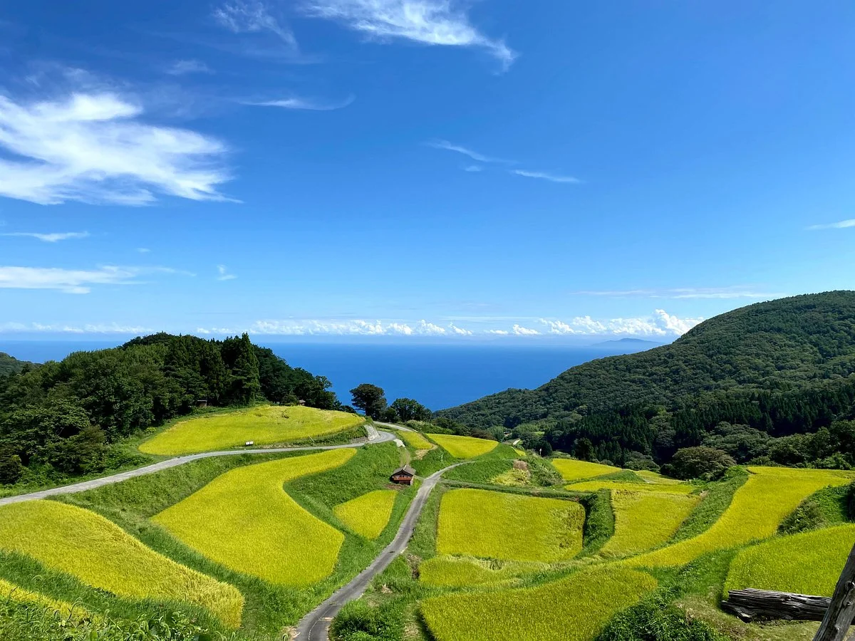 Iwakubi Shoryu Tanada