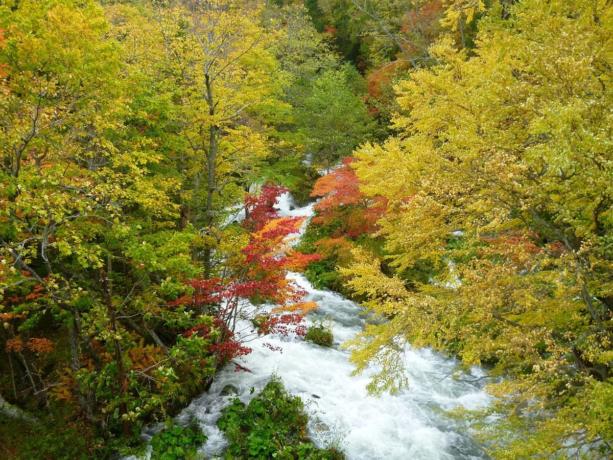 Takimi Bridge