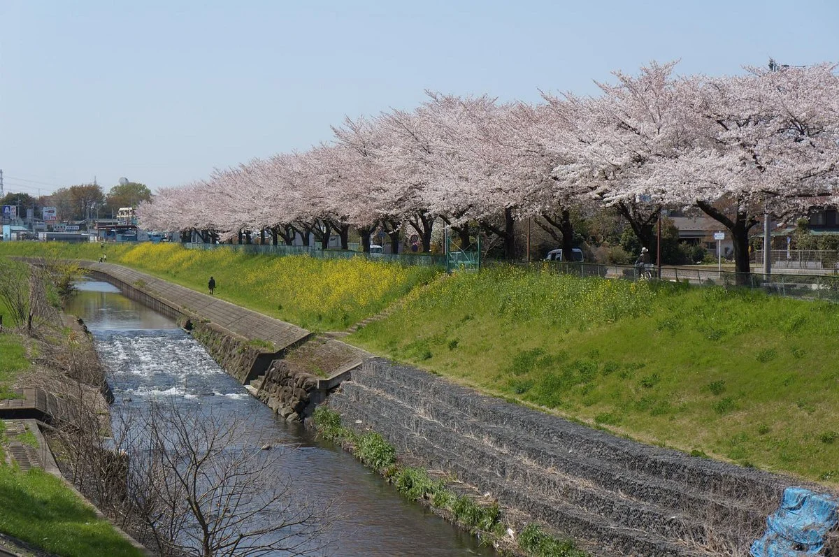 Myoonsawa Special Green Conservation Area