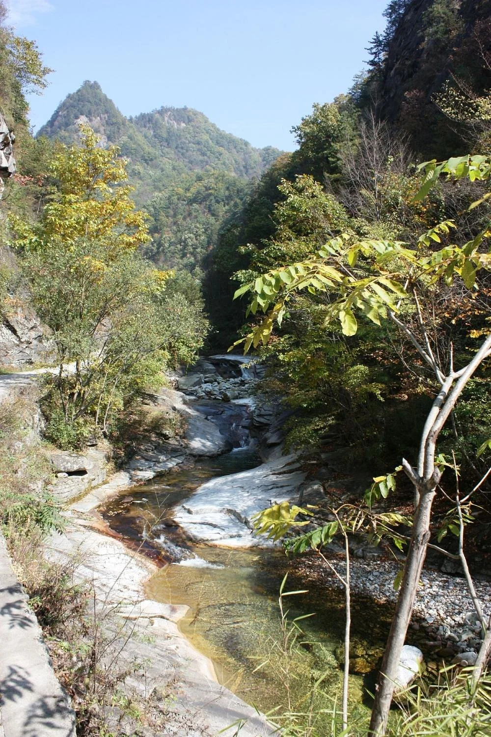 Shanxi Foping National Nature Reserve