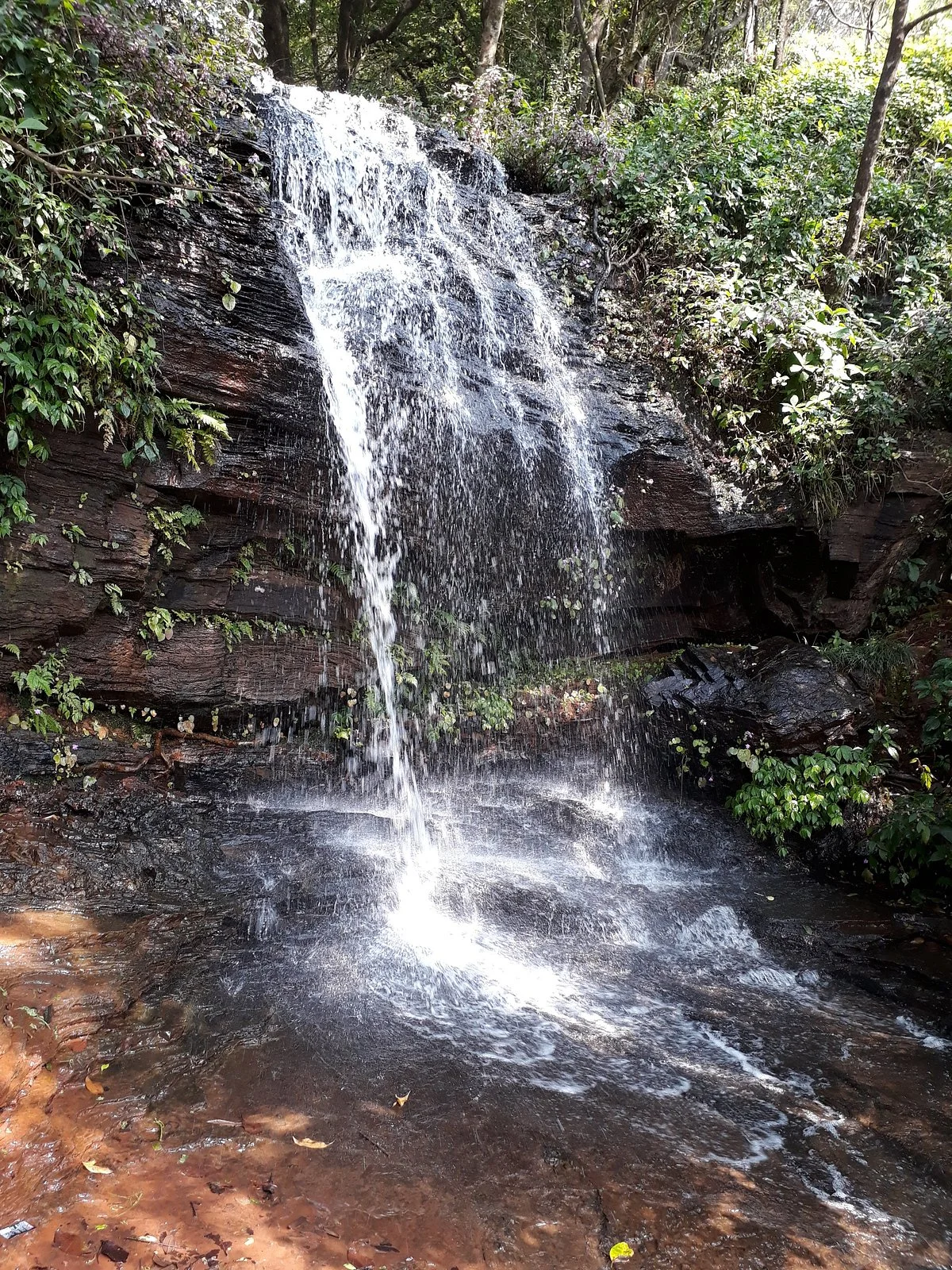 Shanti Falls
