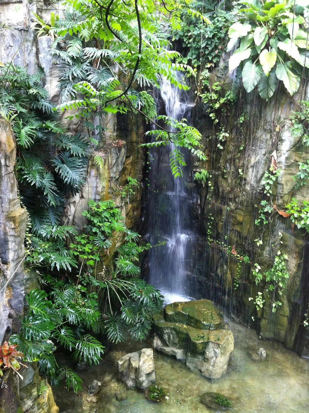 Taichung Botanical Garden
