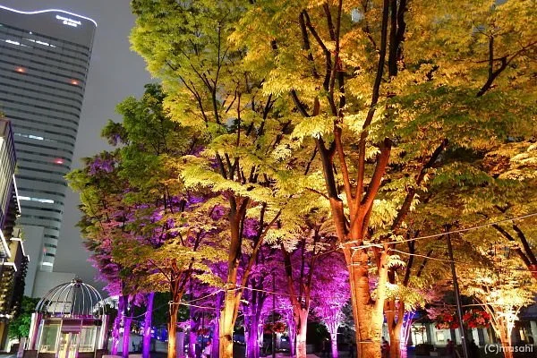 Grand Mall Park