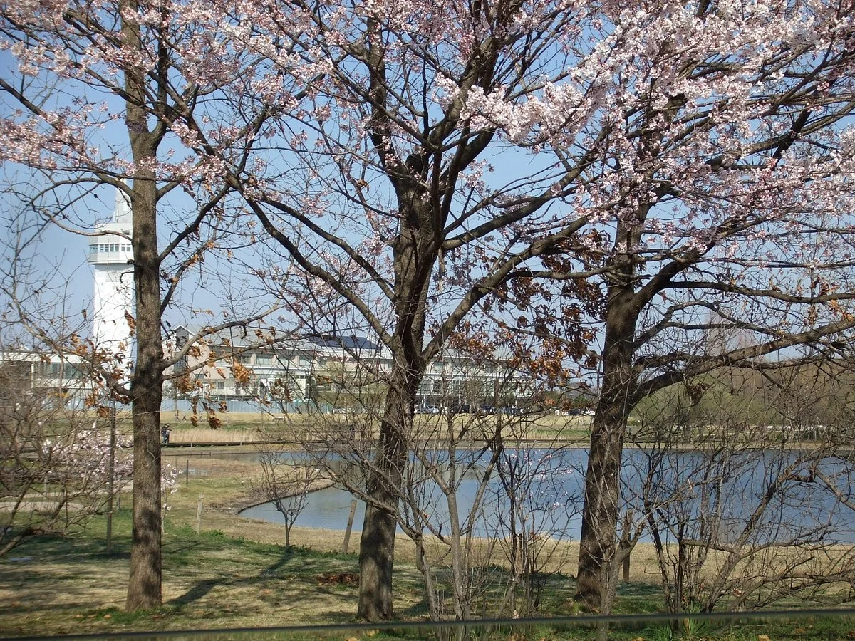 Ora Chuo Park