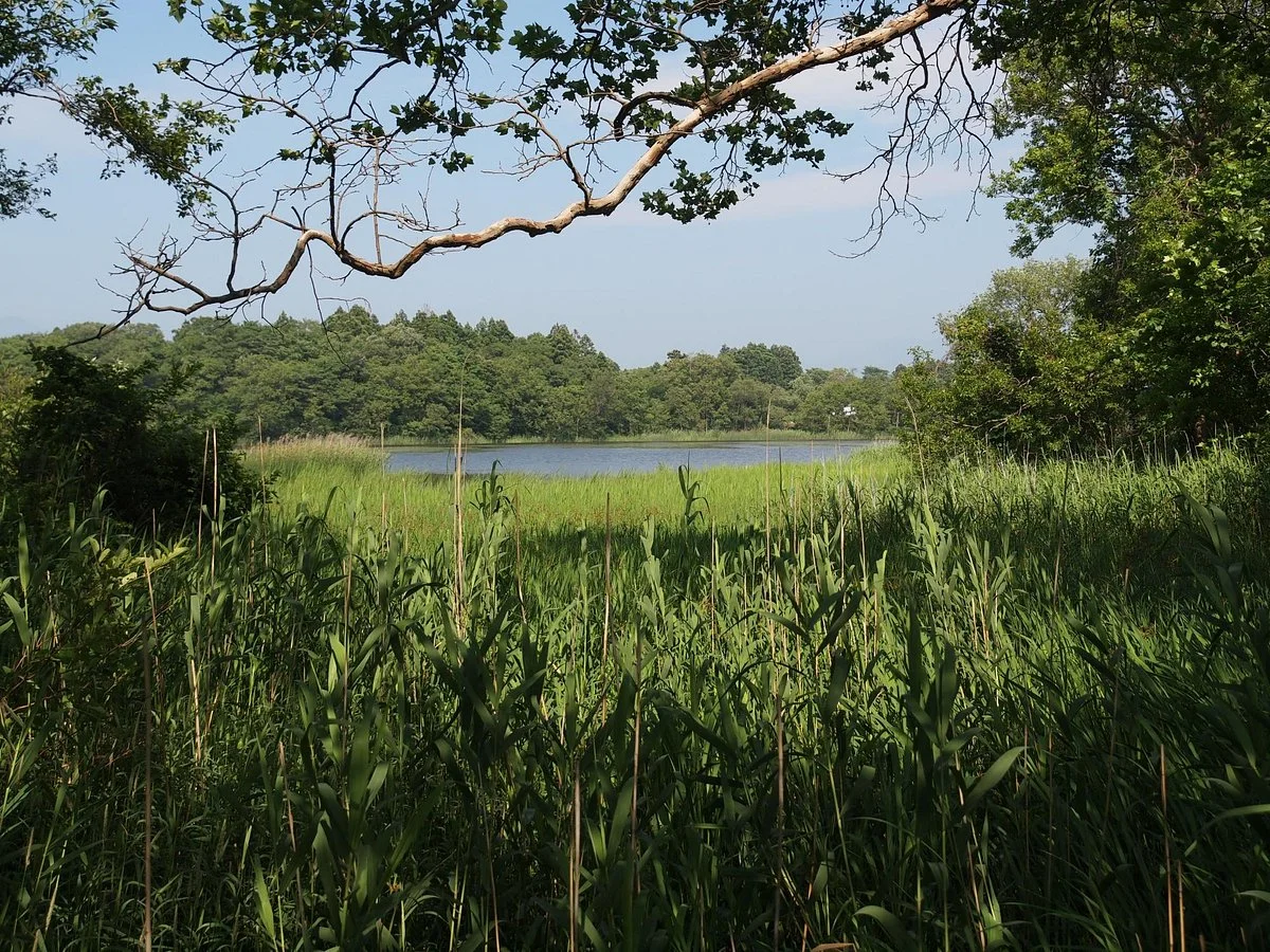 Niigata Ogata Greenery Park