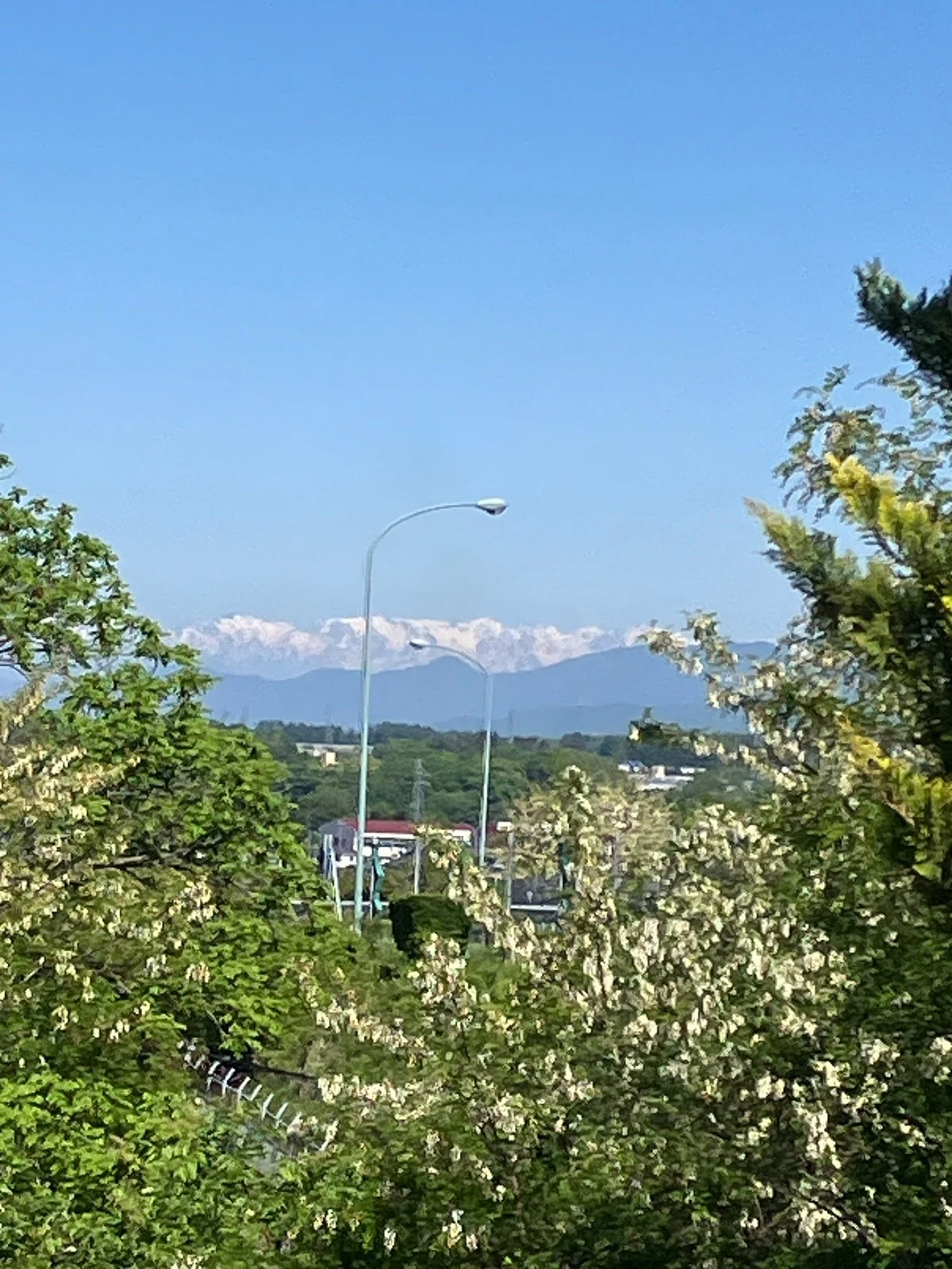 Sakudaira Parking Area Outbound