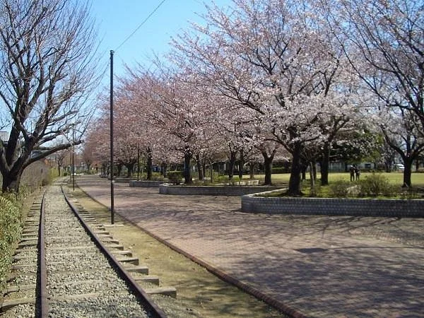 Ichinomiya Pedestrian Path