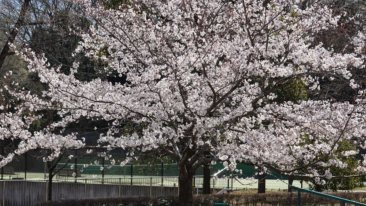 Daimaru Park