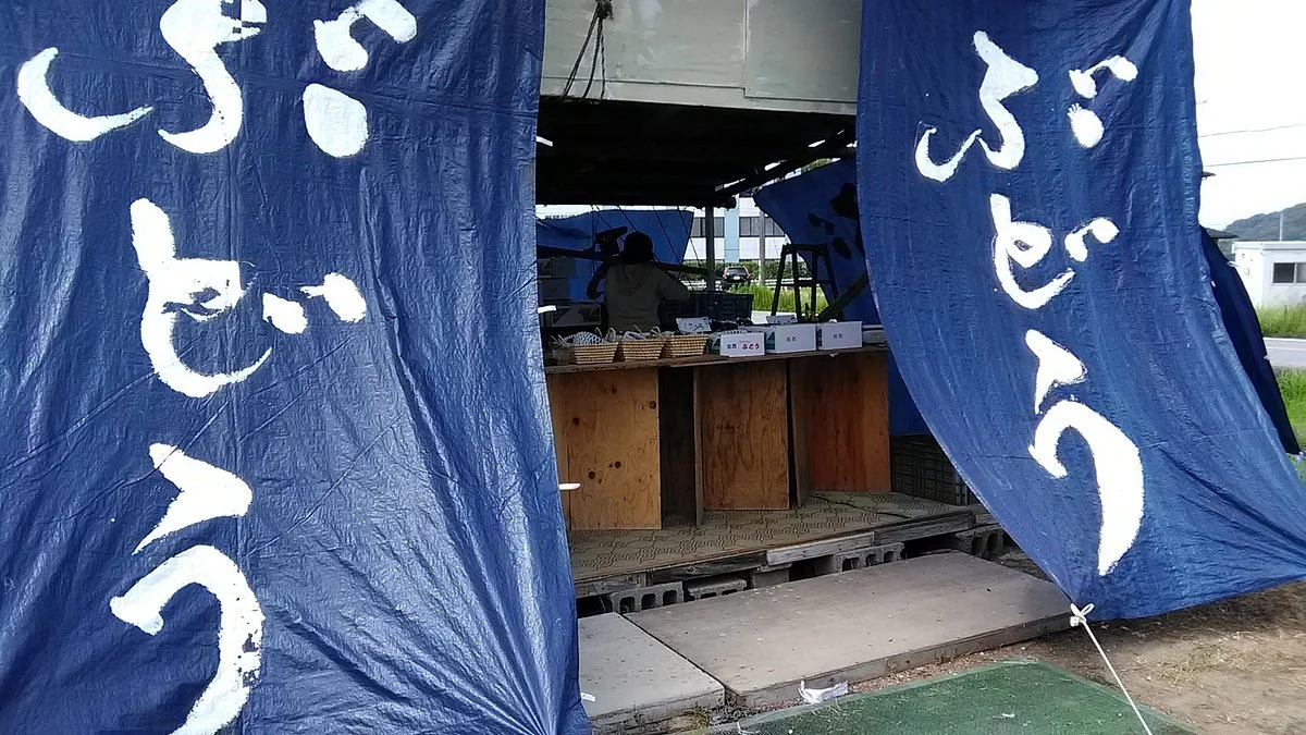 Kasai Grape Farm