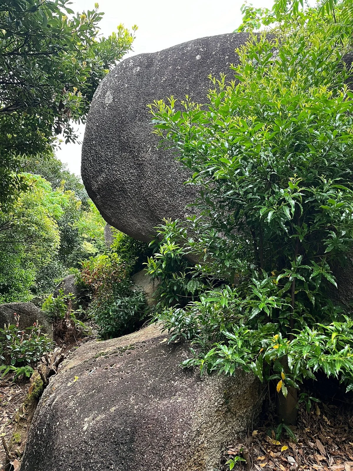 Tojindaiba Ruins