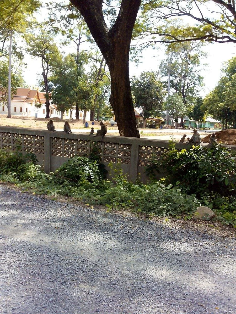 Wat Krieng Krai Klang