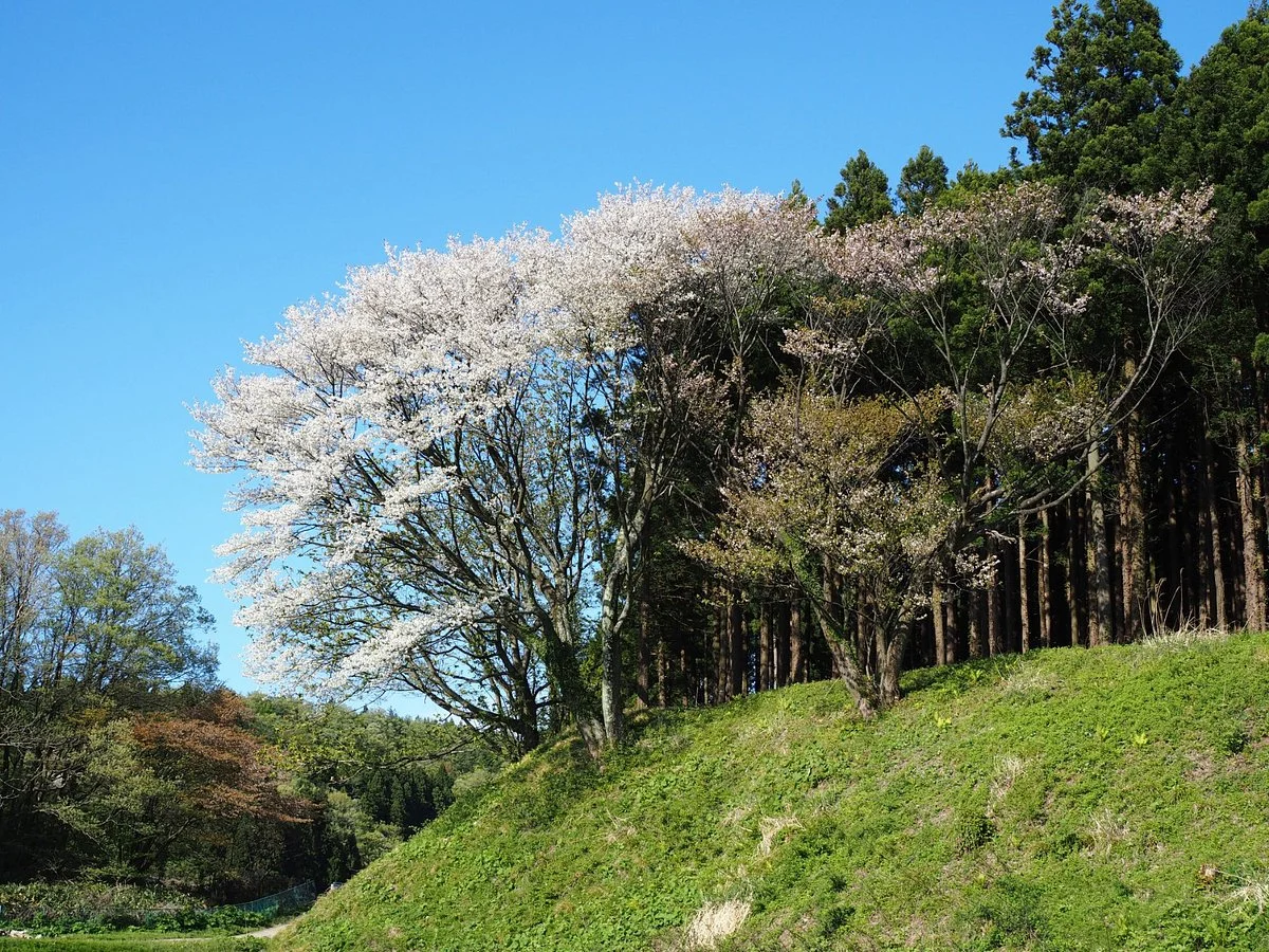 Hirabayashi Castle