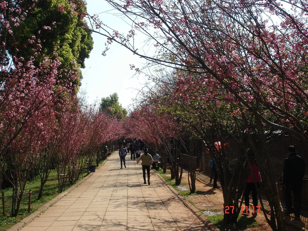 Kunming Zoo