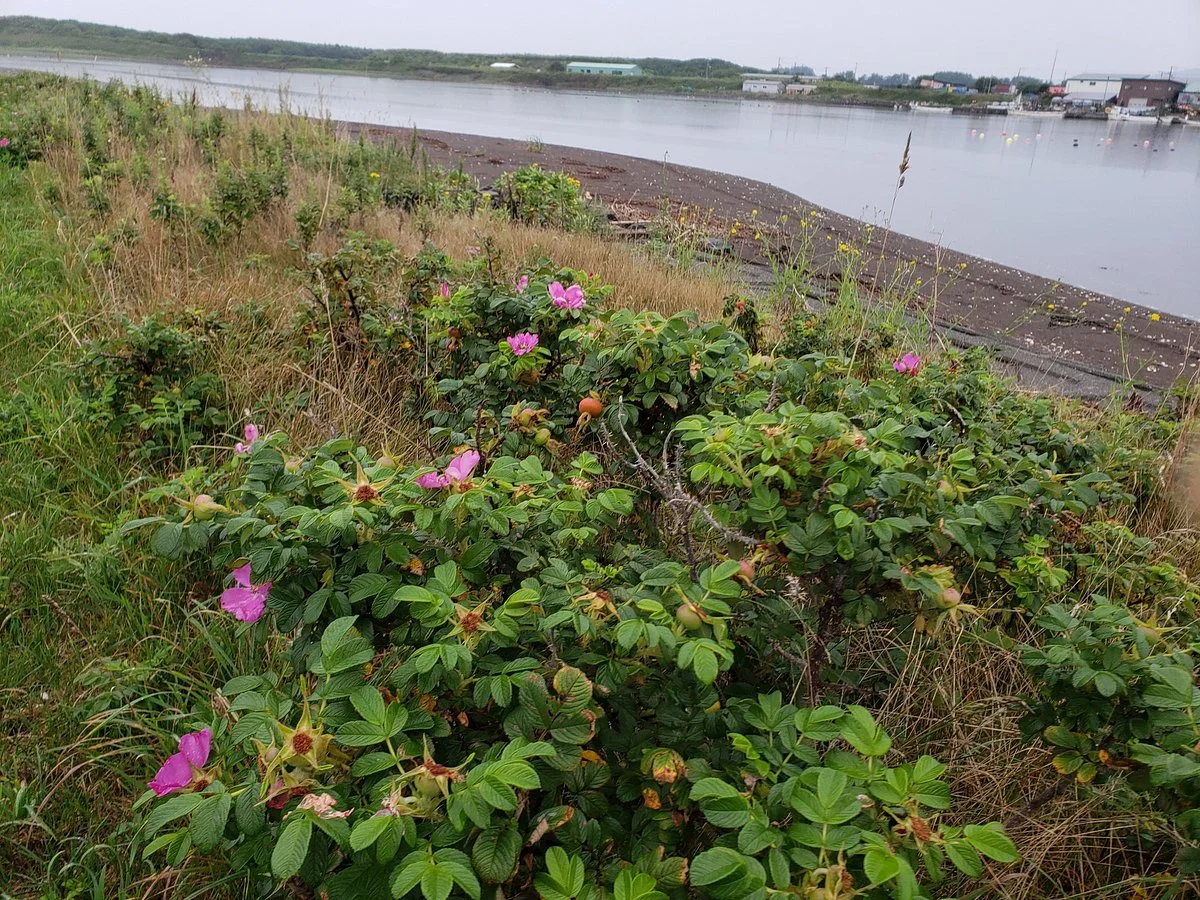 Lake Saroma Wakka Nature Centre