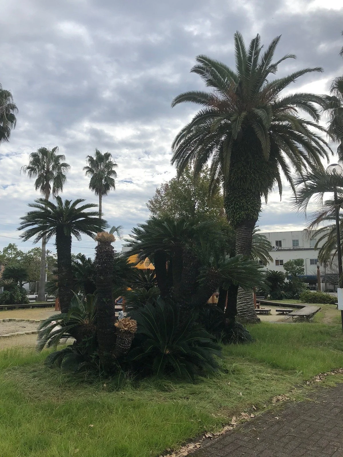 Chuo Jido Park